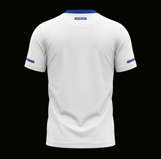 Olanda 2010 - Away