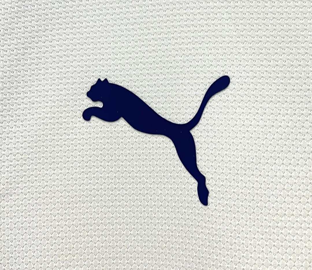 Tottenham Hotspur 2006 - Home