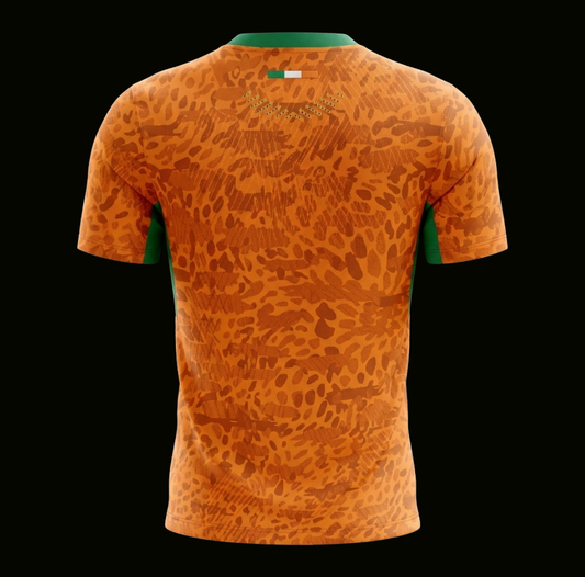 Costa d'Avorio 2026 - Home