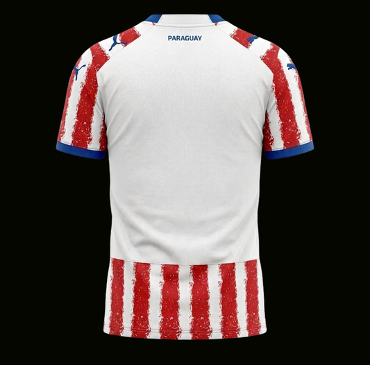 Paraguay 2026 - Home