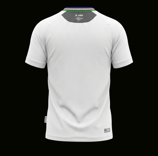 Uzbekistan 2026 - Away