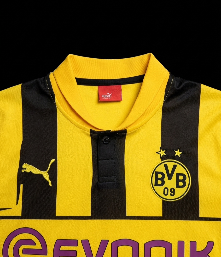 Borussia Dortmund 2012 - Home