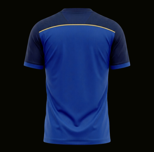 Argentina 2014 - Away