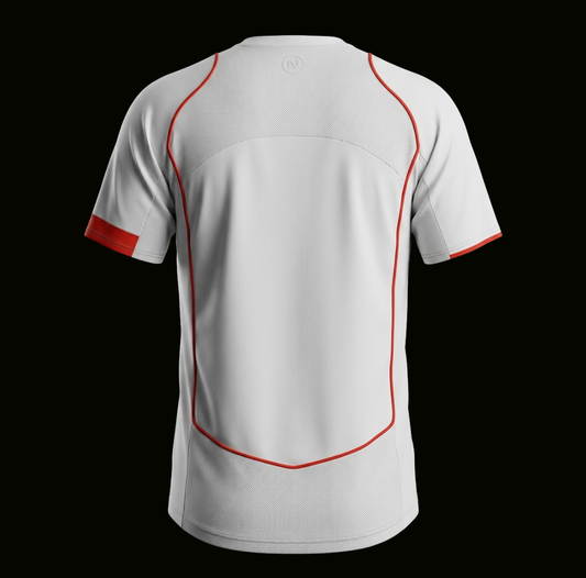 Olanda 2004 - Away