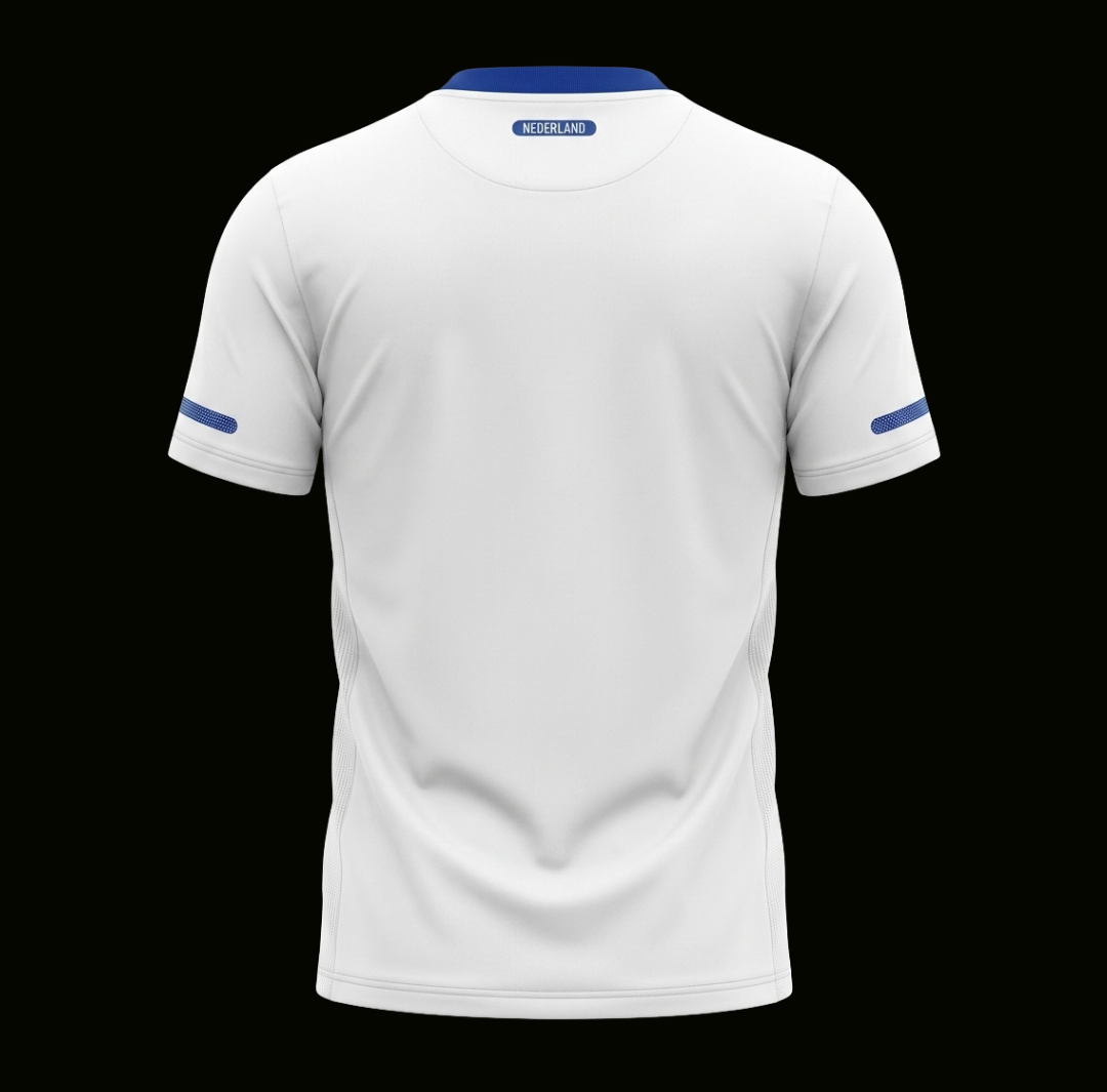 Olanda 2010 - Away