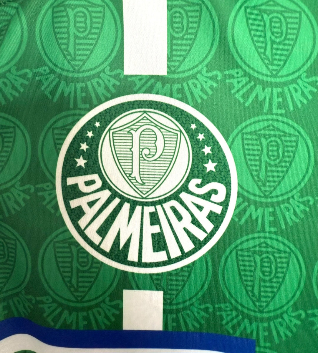 Palmeiras 1994 - Home