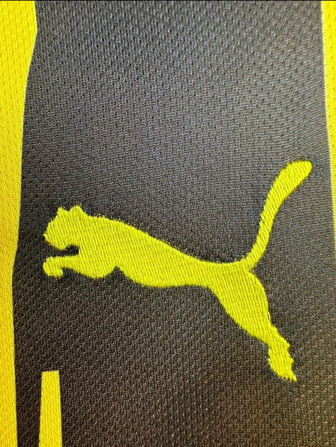 Borussia Dortmund 2012 - Home