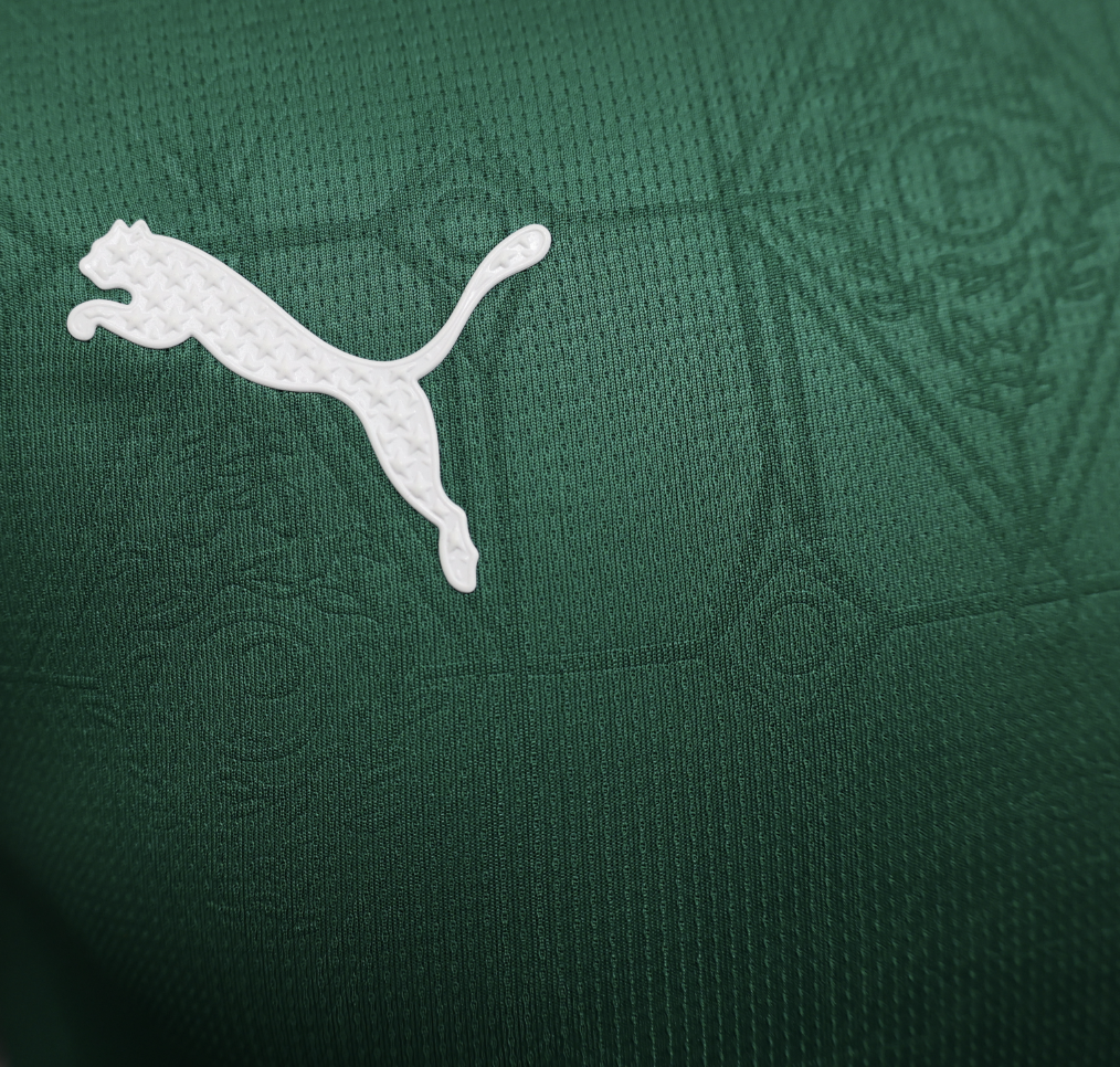 SE Palmeiras 2025-26 - Home