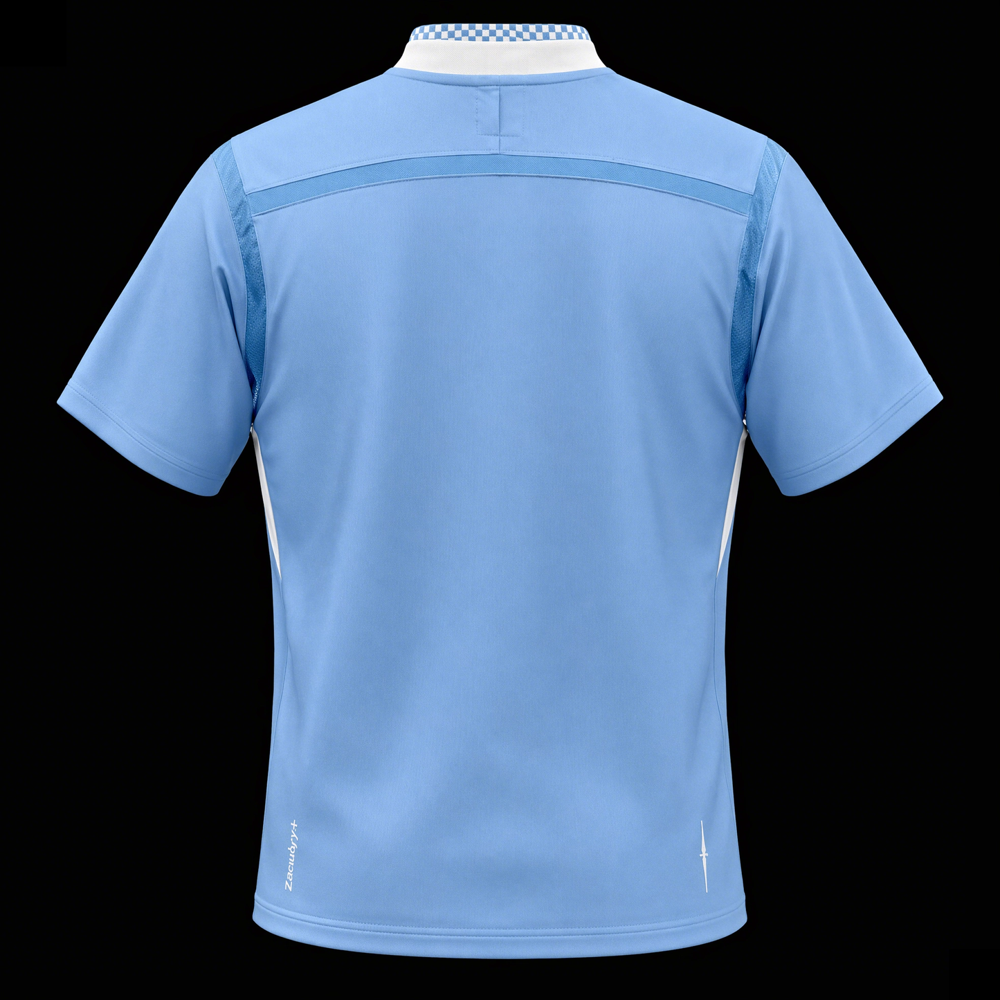 Manchester City 2011 - Home