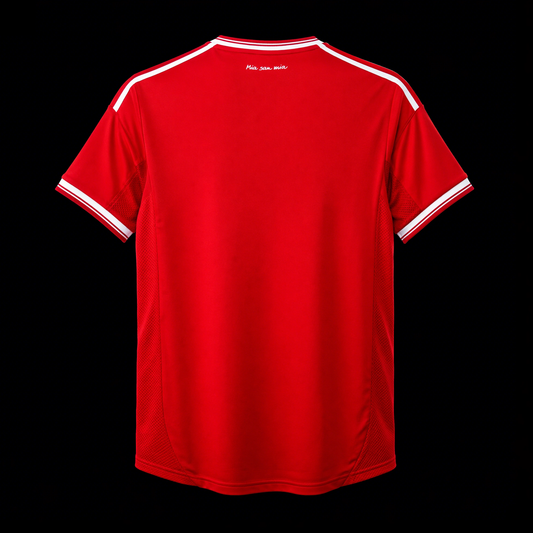 Bayern Monaco 2013 - Home