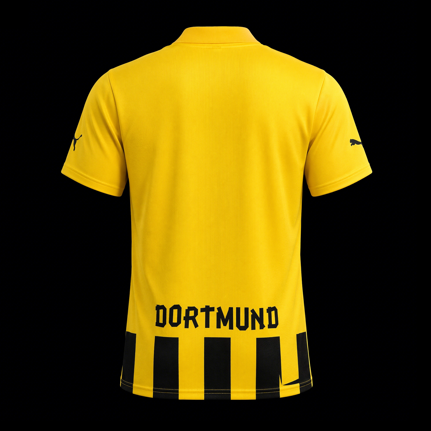 Borussia Dortmund 2012 - Home