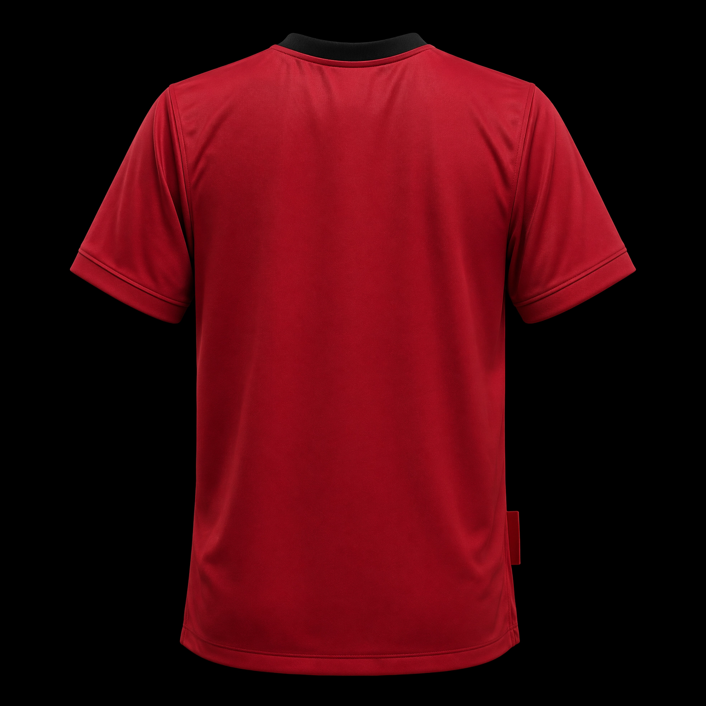 Manchester United 2009 - Home