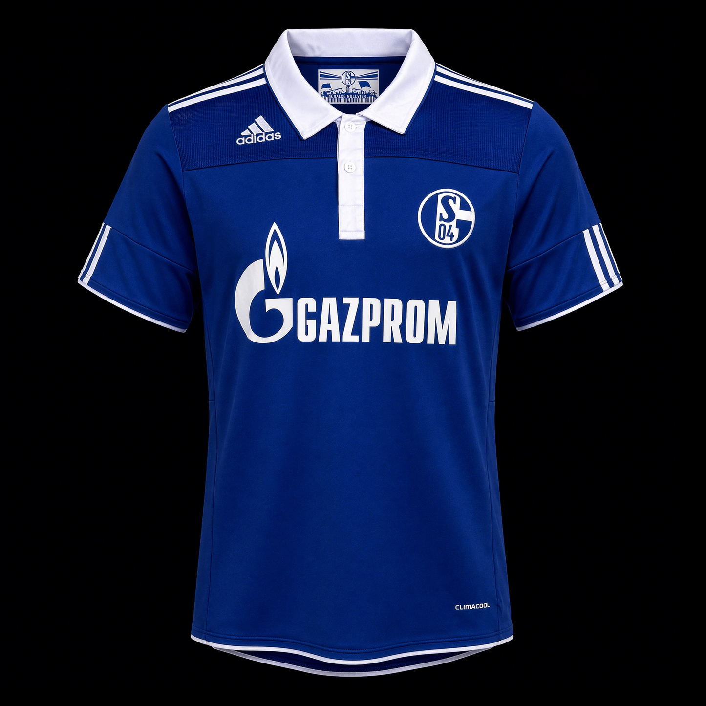 Shalke 04 2010 - Home