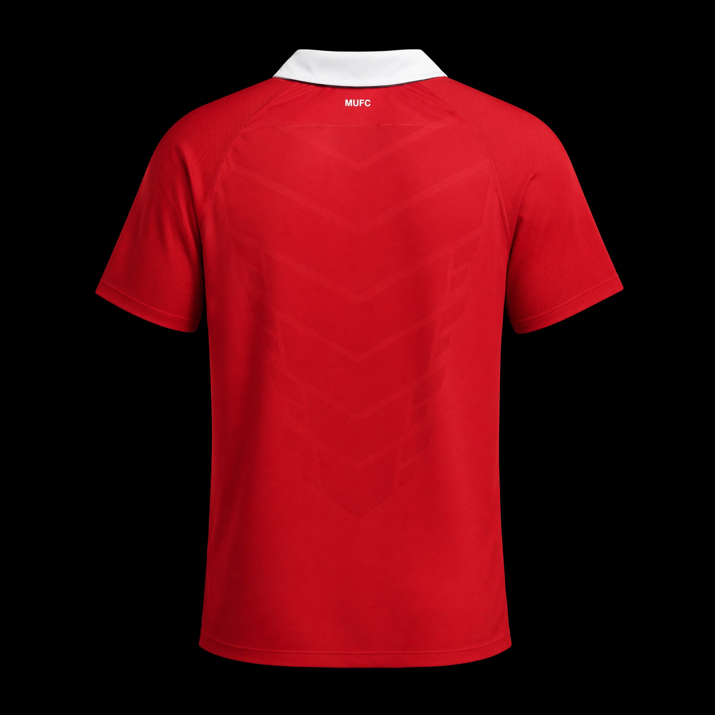 Manchester United 2010 - Home