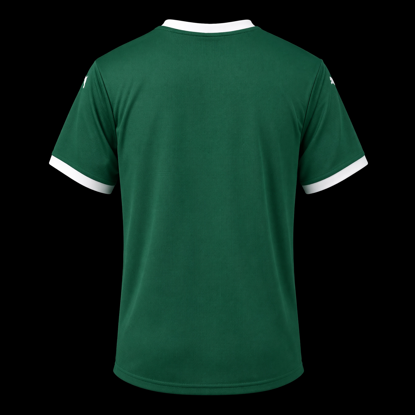 SE Palmeiras 2025-26 - Home