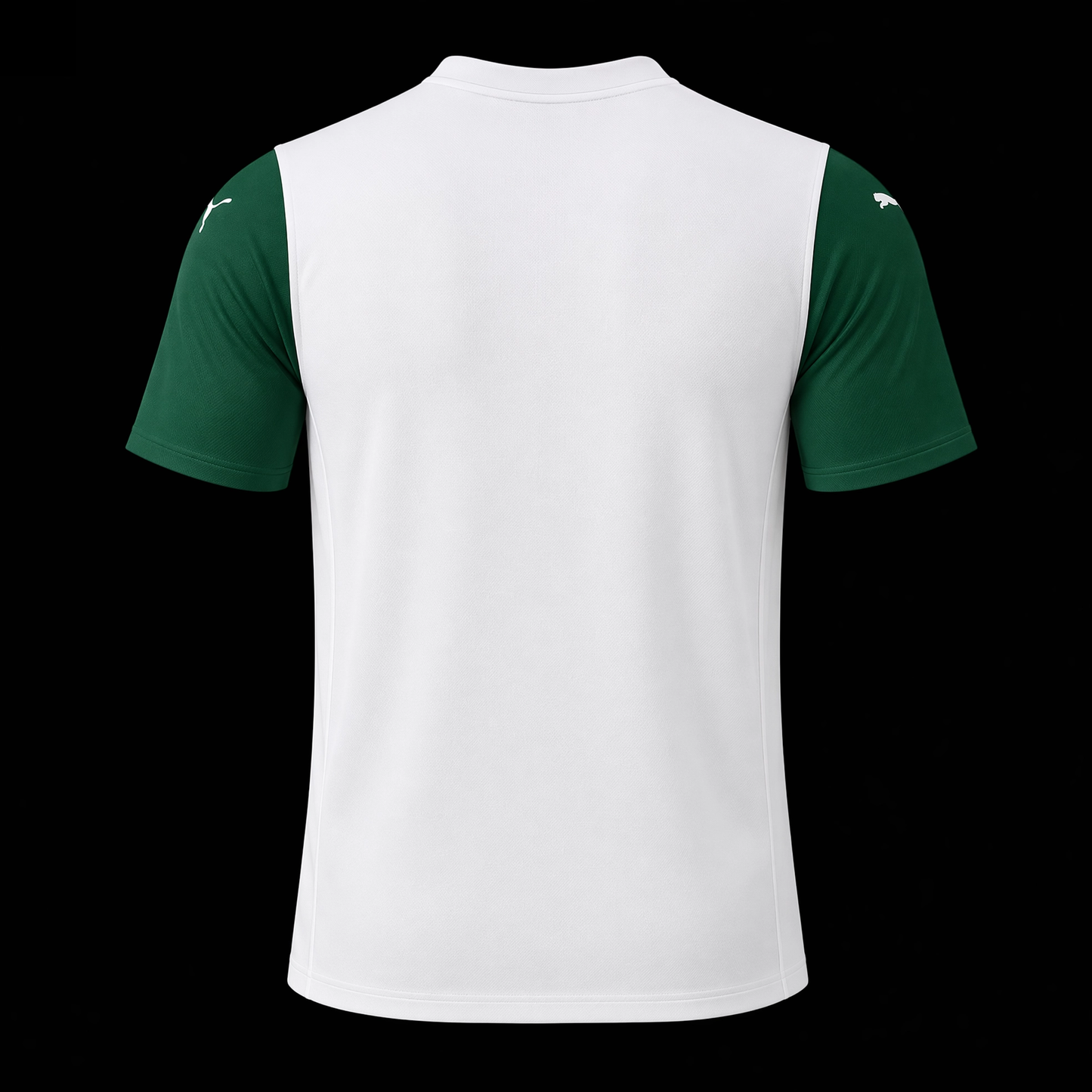 SE Palmeiras 2025-26 - Away