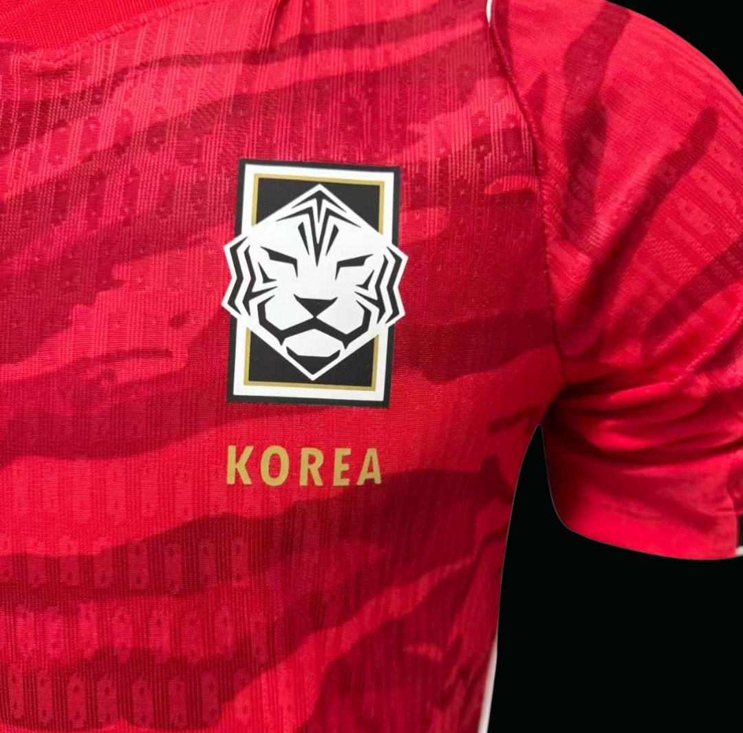 Corea del Sud 2026 - Home